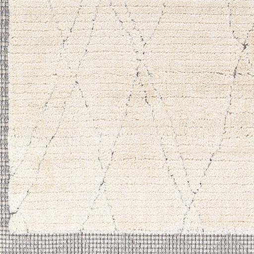 Surya Sousse SUS-2303 Charcoal Gray 5'6" x 7'3" Rug