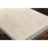Surya Sousse SUS-2303 Charcoal Gray 5'6" x 7'3" Rug