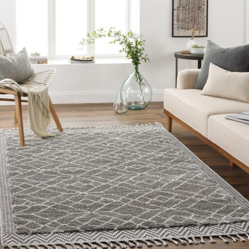 Surya Sousse SUS-2306 9'6" x 12' Rug