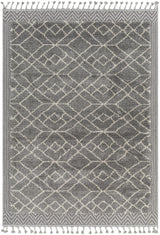 Surya Sousse SUS-2306 9'6" x 12' Rug