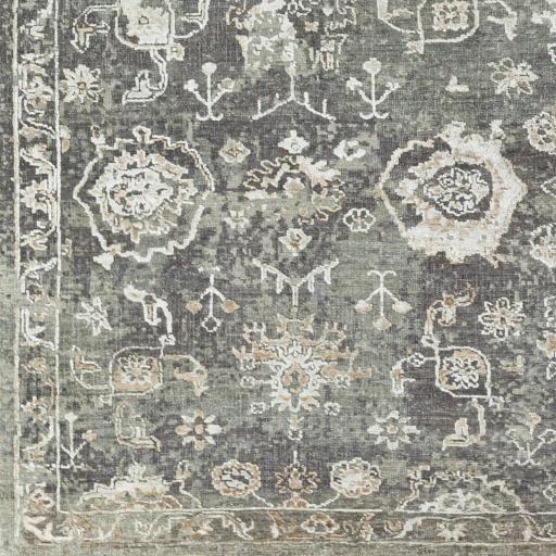 Surya Sufi SUF-2301 2' x 3' Rug