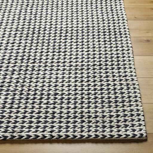 Surya Sundance SDC-2301 3'6" x 5'6" Rug