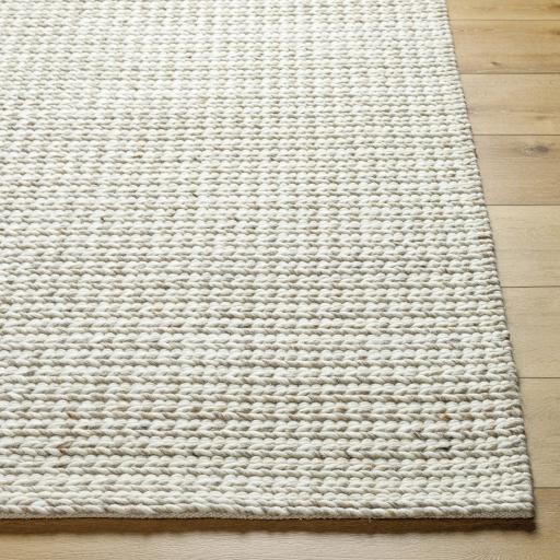 Surya Sundance SDC-2303 Beige Ivory 5' x 7'6" Rug