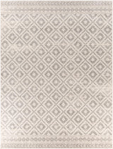 Livabliss Sunderland SUN-2301 2'7" x 7'3" Machine Woven Rug