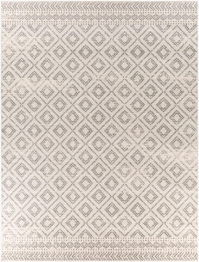 Livabliss Sunderland SUN-2301 2'7" x 7'3" Machine Woven Rug