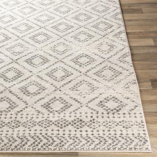 Surya Sunderland SUN-2301 Charcoal Light Slate 2'7" x 7'3" Rug