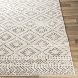 Surya Sunderland SUN-2301 Charcoal Light Slate 2'7" x 7'3" Rug