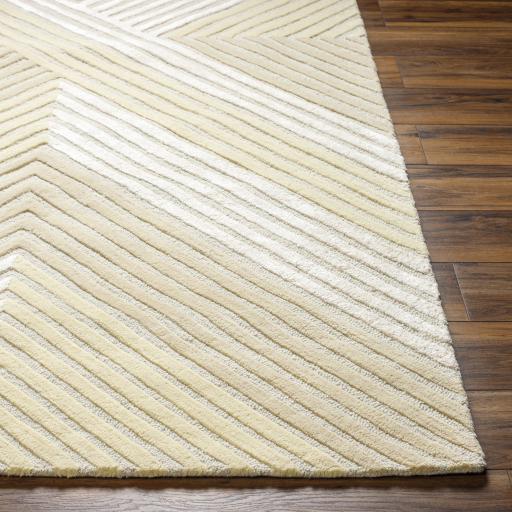 Surya Tallinn TNL-2305 2' x 3' Rug