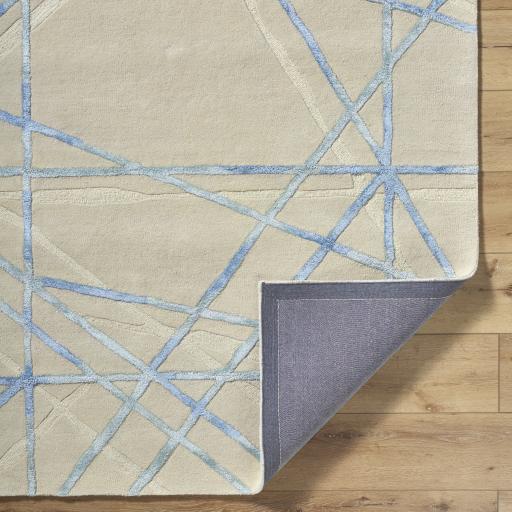 Surya Tallinn TNL-2306 2' x 3' Rug