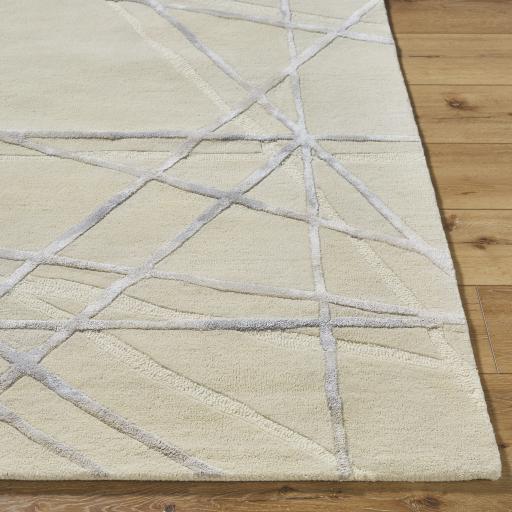 Surya Tallinn TNL-2307 2' x 3' Rug