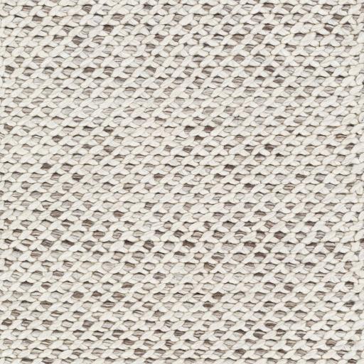 Surya Telluride TEL-2300 2' x 3' Rug