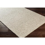 Surya Telluride TEL-2300 Cream Dark Brown 2' x 3' Rug