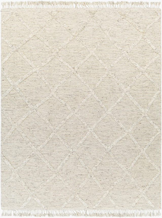 Surya Tenerife TNF-2300 9' x 12' Handmade Rug