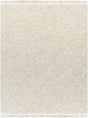 Surya Tenerife TNF-2300 9' x 12' Handmade Rug
