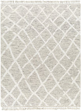 Surya Tenerife TNF-2301 2' x 3' Rug