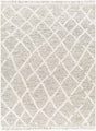 Surya Tenerife TNF-2301 2' x 3' Handmade Rug