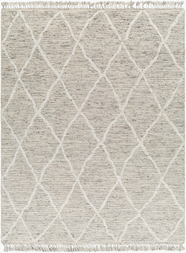 Surya Tenerife TNF-2302 8' x 10' Handmade Rug