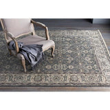 Surya Theodora THO-3001 10' x 14' Rug