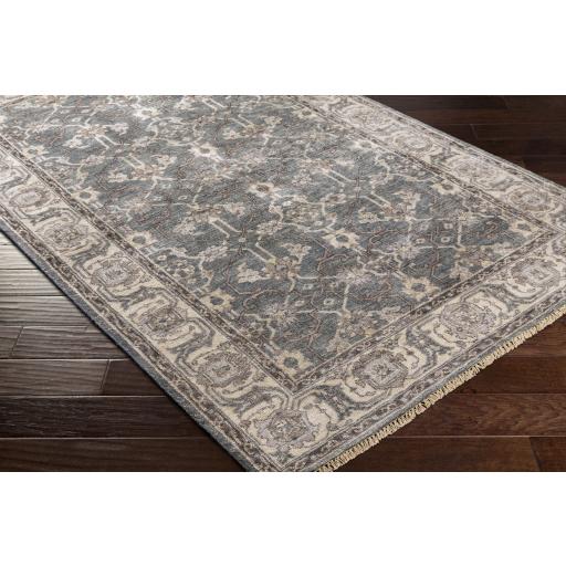 Surya Theodora THO-3001 Dark Brown Light Gray 8' x 10' Rug