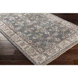 Surya Theodora THO-3001 Dark Brown Light Gray 8' x 10' Rug