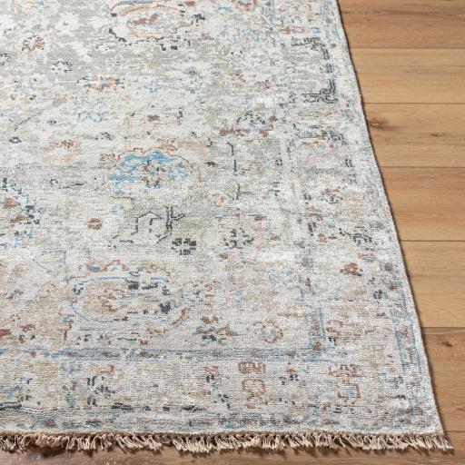 Surya Theodora THO-3008 2' x 3' Rug