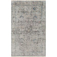 Surya Theodora THO-3009 2' x 3' Rug
