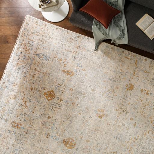 Surya Theodora THO-3010 4' x 6' Rug
