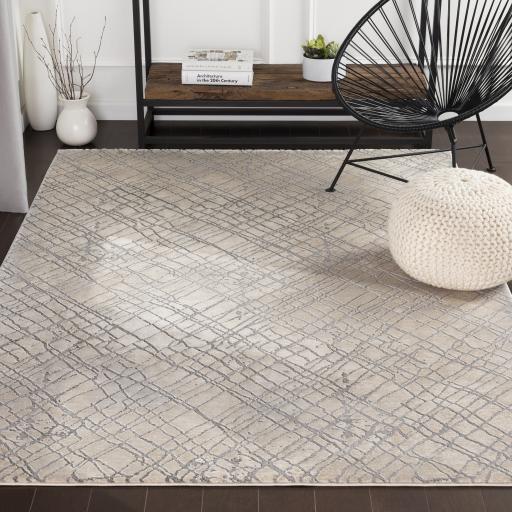 Surya Tibetan TBT-2314 8'10" x 12'4" Rug