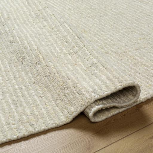 Surya Totenham TTH-2302 2' x 3' Rug