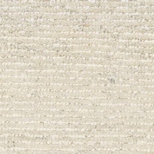 Surya Totenham TTH-2302 2' x 3' Rug