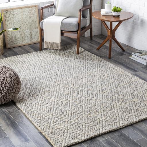 Surya Trace TCE-2301 2' x 3' Rug