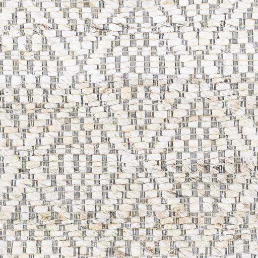 Surya Trace TCE-2301 2' x 3' Rug