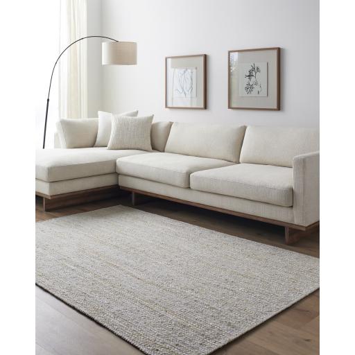 Surya Trenzado TZD-2301 2'6" x 8' Rug