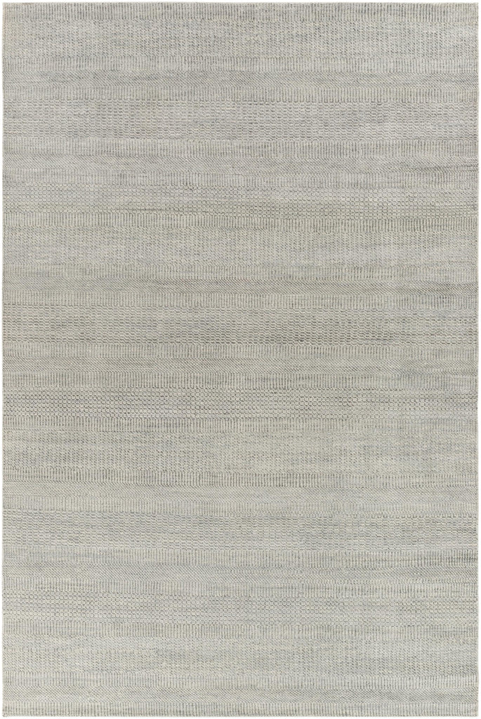 Surya Tribeca TRI-2301 Charcoal Gray 10' x 14' Rug