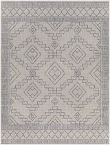 Surya Tuareg TRG-2356 9'2" x 12' Rug