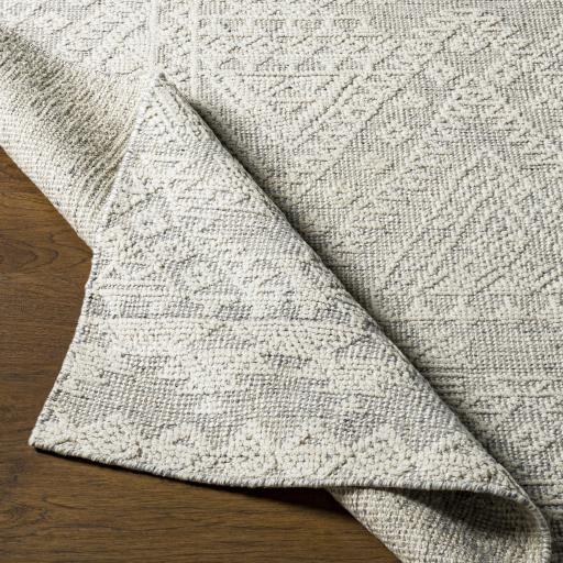 Surya Tunus TUN-2306 4' x 6' Rug