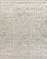 Surya Tunus TUN-2306 9' x 12' Handmade Rug