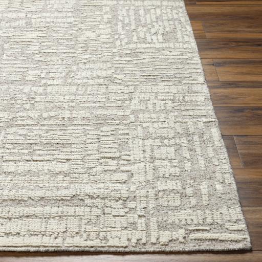 Surya Tunus TUN-2311 Ivory Light Gray 2' x 3' Rug