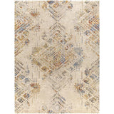 Surya Tuscany TUS-2302 2' x 3' Rug