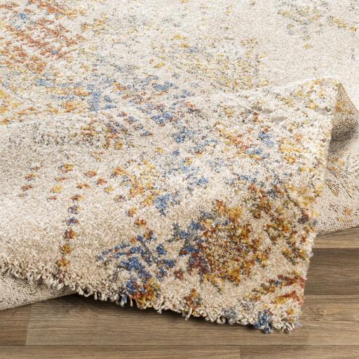 Surya Tuscany TUS-2302 2' x 3' Rug