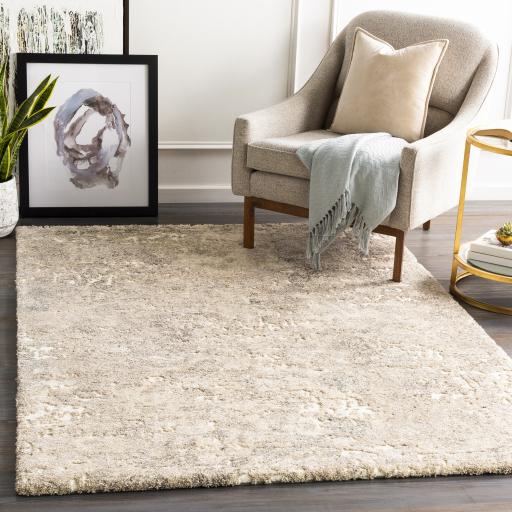 Surya Tuscany TUS-2304 2' x 2'11" Rug