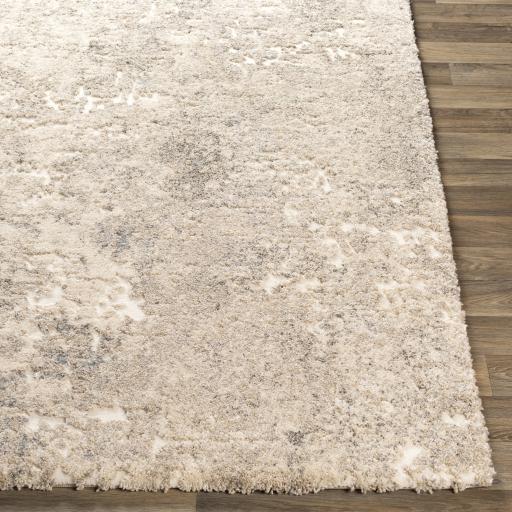 Surya Tuscany TUS-2304 2' x 2'11" Rug