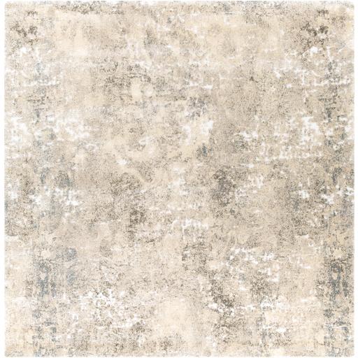 Surya Tuscany TUS-2304 2' x 2'11" Rug