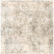 Surya Tuscany TUS-2304 8'10" x 12'2" Rug