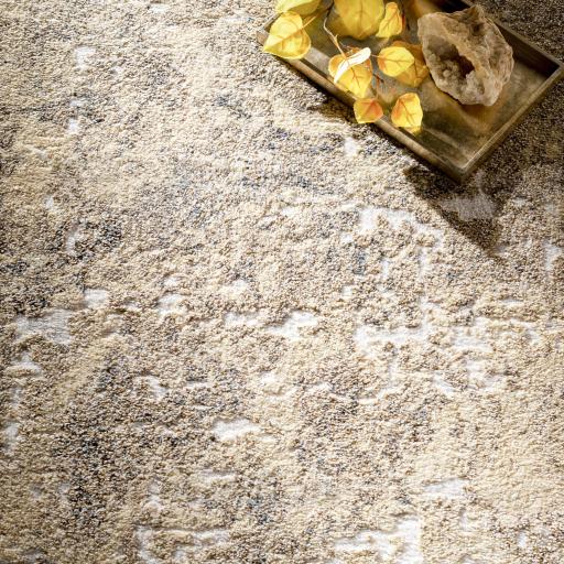 Surya Tuscany TUS-2304 8'10" x 12'2" Rug