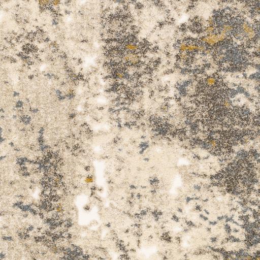 Surya Tuscany TUS-2305 7'10" x 10'2" Rug