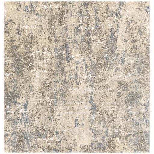 Surya Tuscany TUS-2306 12' x 15' Rug