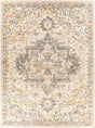 Livabliss Tuscany TUS-2307 4'3" x 5'7" Machine Woven Rug