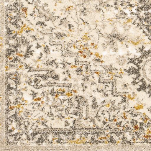 Surya Tuscany TUS-2307 8'10" x 12'2" Rug