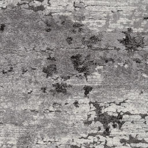 Surya Tuscany TUS-2310 2' x 2'11" Rug